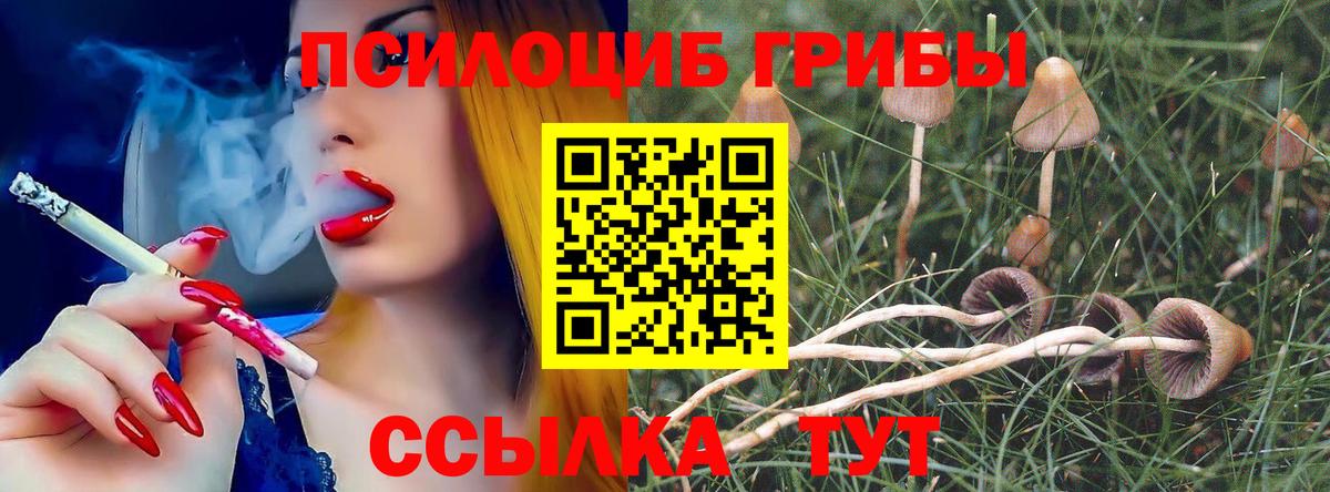 Галлюциногенные грибы прущие грибы Надым
